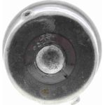 Vemo V99-84-0004 Glühlampe, Kennzeichenleuchte Green Mobility Parts