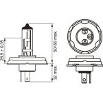 Glühlampe, Fernscheinwerfer 1 987 302 021 Glühlampe, Fernscheinwerfer 1 987 302 021
