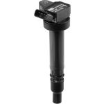BorgWarner (BERU) ZSE168 Zündspule BorgWarner (BERU) ZSE168 Zündspule
