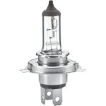 Glühlampe 8GJ 002 525-251