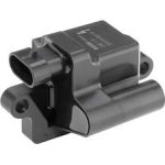 BorgWarner (BERU) ZSE177 Zündspule
