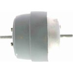 Vaico V10-2184 Lagerung, Motor