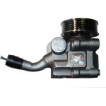Hydraulikpumpe, Lenkung 54253 Hydraulikpumpe, Lenkung 54253