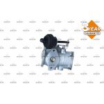 AGR-Ventil 48618 AGR-Ventil 48618