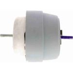 Vaico V10-2960 Lagerung, Motor