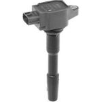 BorgWarner (BERU) ZSE131 Zündspule BorgWarner (BERU) ZSE131 Zündspule
