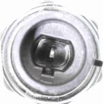 Öldruckschalter V40-73-0001 Öldruckschalter V40-73-0001