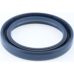 Dichtring 12010924B