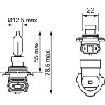 Glühlampe, Hauptscheinwerfer 1 987 302 027 Glühlampe, Hauptscheinwerfer 1 987 302 027
