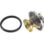 Thermostat, Kühlmittel 4176.85D