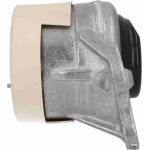 Vaico V30-3259 Lagerung, Motor