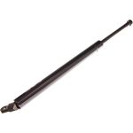 Gasfeder, Koffer-/Laderaum 12-0235