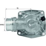 Thermostat, Kühlmittel TM 16 105 Thermostat, Kühlmittel TM 16 105