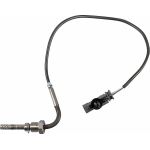 Sensor, Abgastemperatur 08941010