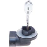Glühlampe 1 987 302 029