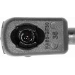 Vaico V10-1934 Gasfeder, Kofferraum/Laderaum