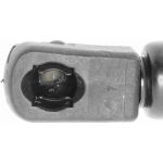 Gasfeder, Koffer-/Laderaum V95-0134 Gasfeder, Koffer-/Laderaum V95-0134
