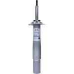 Stoßdämpfer 310 379