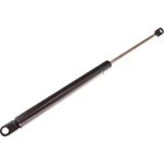 Gasfeder, Koffer-/Laderaum 12-0074