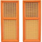 Luftfilter C 2861-2