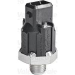 Klopfsensor 255400 Klopfsensor 255400