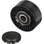 Umlenk-/Führungsrolle, Keilrippenriemen T36248