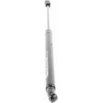 Gasfeder, Koffer-/Laderaum V10-1955 Gasfeder, Koffer-/Laderaum V10-1955