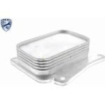 Vemo V30-60-1313 Ölkühler, Motoröl Expert Kits + Vemo V30-60-1313 Ölkühler, Motoröl Expert Kits +