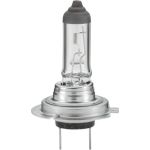 Glühlampe 8GH 007 157-121