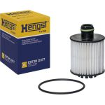 Ölfilter E873H D377 Ölfilter E873H D377