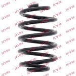 Fahrwerksfeder RX5209 Fahrwerksfeder RX5209