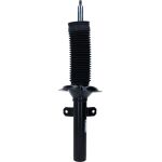 Stoßdämpfer 313 503 Stoßdämpfer 313 503