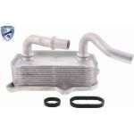 Vemo V30-60-1266 Ölkühler, Motoröl Expert Kits + Vemo V30-60-1266 Ölkühler, Motoröl Expert Kits +