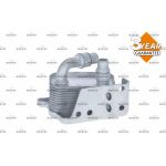 Ölkühler, Motoröl 31209 Ölkühler, Motoröl 31209