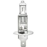 Glühlampe 8GH 002 089-491 Glühlampe 8GH 002 089-491