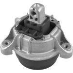Tedgum TED97460 Lagerung, Motor