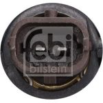 Thermostat, Kühlmittel 193086