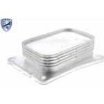 Vemo V30-60-1313 Ölkühler, Motoröl Expert Kits + Vemo V30-60-1313 Ölkühler, Motoröl Expert Kits +