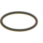 Dichtring F 00V C38 002 Dichtring F 00V C38 002