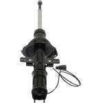 Stoßdämpfer C2501S Stoßdämpfer C2501S