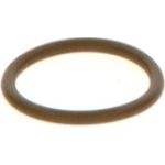 Dichtring F 00V C38 044