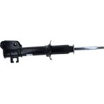Stoßdämpfer 312 862