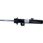 Stoßdämpfer 317 569
