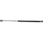 Gasfeder, Koffer-/Laderaum V10-1036
