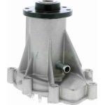 Vaico V30-50042 Wasserpumpe