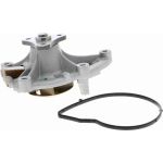 Vaico V22-50021 Wasserpumpe Green Mobility Parts Vaico V22-50021 Wasserpumpe Green Mobility Parts