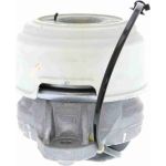 Vaico V30-2499 Lagerung, Motor Vaico V30-2499 Lagerung, Motor