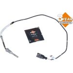 Sensor, Abgastemperatur 707139