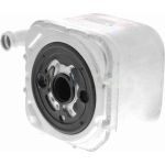 Vemo V15-60-6014 Ölkühler, Motoröl