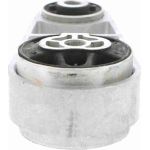 Vaico V25-0799 Lagerung, Motor